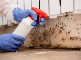 Mold Remediation for Rental Properties in Cedar Bluff, VA